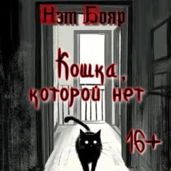 Кошка, которой нет, Нэт Бояр