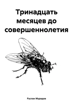 Тринадцать месяцев до совершеннолетия, Руслан Мурадов