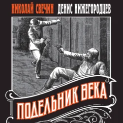 Подельник века Николай Свечин и Денис Нижегородцев