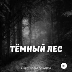 Тёмный лес, Станислав Бочаров