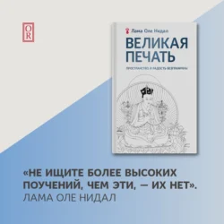 Великая печать. Пространство и радость безграничны. Взгляд Махамудры буддизма Алмазного пути, Оле Нидал