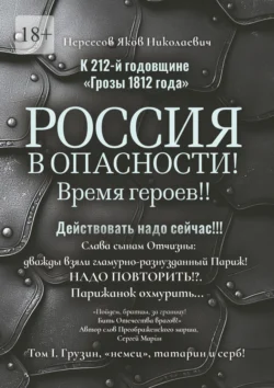 К 212-й годовщине «Грозы 1812 года». Россия в Опасности! Время героев!! Действовать надо сейчас!!! Том I. Грузин  «немец»  татарин и серб! Яков Нерсесов