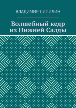 Волшебный кедр из Нижней Салды, Владимир Липилин