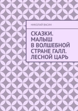 Сказки. Малыш в волшебной стране Галл. Лесной царь Николай Васин