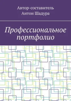 Профессиональное портфолио, Антон Шадура