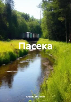 Пасека, Юрий Кобылкин