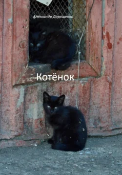 Котёнок, Александр Дорошенко