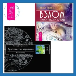 Взлом техногенной системы + Трансерфинг реальности. Ступень I: Пространство вариантов, Вадим Зеланд