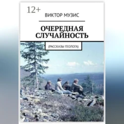 Очередная случайность, Виктор Музис