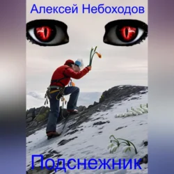 Подснежник, Алексей Небоходов