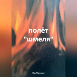 полёт «шмеля», Юрий Ерошкин