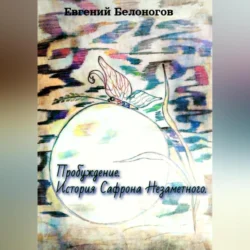 Пробуждение. История Сафрона Незаметного, Евгений Белоногов