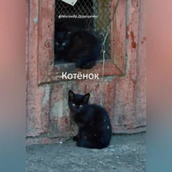 Котёнок, Александр Дорошенко