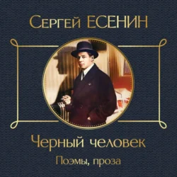 Черный человек. Поэмы  проза Сергей Есенин