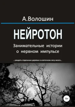 НЕЙРОТОН. Занимательные истории о нервном импульсе, Александр Волошин