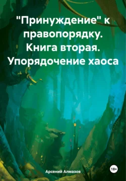 «Принуждение» к правопорядку. Книга вторая. Упорядочение хаоса, Арсений Алмазов