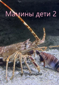 Мамины дети 2, Петр Синани