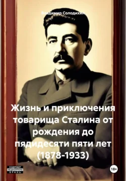 Жизнь и приключения товарища Сталина от рождения до пядидесяти пяти лет (1878-1933), Владимир Солодихин