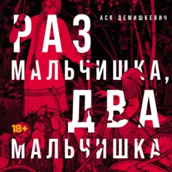 Раз мальчишка, два мальчишка, Аудиоагент Альпина Диджитал