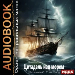 Орден неправильных магов. Книга 2. Цитадель над морем, Алексей Пинчук