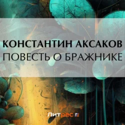 Повесть о бражнике Константин Аксаков