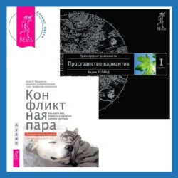 Конфликтная пара. Как найти мир, близость и научиться уважать партнера. Поведенческая терапия + Трансерфинг реальности. Ступень I: Пространство вариантов, Вадим Зеланд