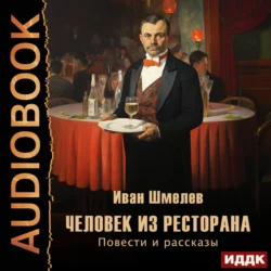 Человек из ресторана. Повести и рассказы Иван Шмелев