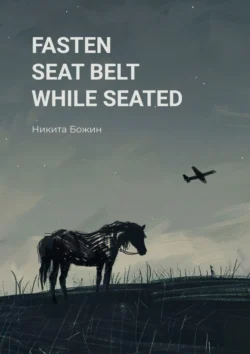 Fasten seat belt while seated, Никита Божин