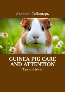 Guinea pig care and attention. Tips and tricks Алексей Сабадырь