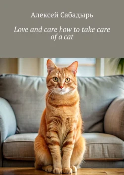 Love and care how to take care of a cat, Алексей Сабадырь