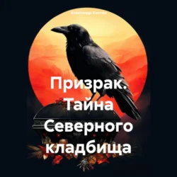 Призрак. Тайна Северного кладбища, Александр Костин