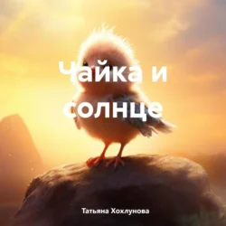 Чайка и солнце Татьяна Хохлунова