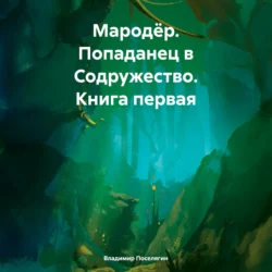 Мародёр. Попаданец в Содружество. Книга первая, Владимир Поселягин