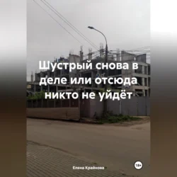 Шустрый снова в деле или отсюда никто не уйдёт., Елена Крайнова