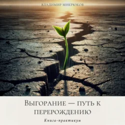 Выгорание – путь к перерождению, Владимир Микрюков