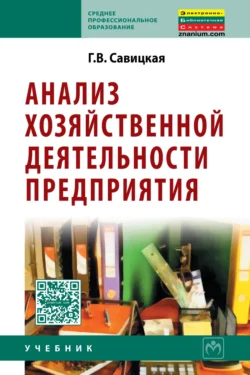 Анализ эффективности и рисков предпринимательской деятельности: Методологические аспекты. Монография, Глафира Савицкая