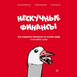 Нескучные финансы. Как управлять бизнесом на основе цифр и не сойти с ума, Сергей Краснов