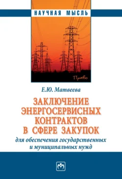 Заключение энергосервисных контрактов в сфере закупок для обеспечения государственных и муниципальных нужд, Елена Матвеева