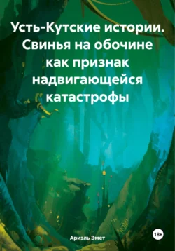 Усть-Кутские истории. Свинья на обочине как признак надвигающейся катастрофы Ариэль Эмет