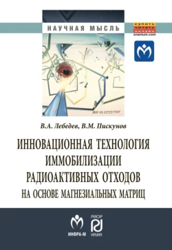 Инновационная технология иммобилизации радиоактивных отходов на основе магнезиальных матриц, Владимир Лебедев