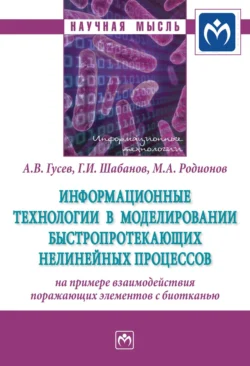 Информационные технологии в моделировании быстропротекающих нелинейных процессов (на примере взаимодействия поражающих элементов с биотканью), Андрей Гусев