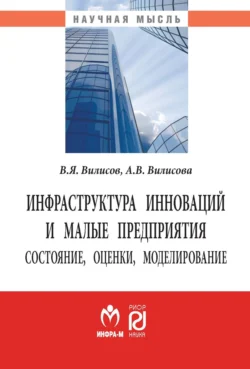 Инфраструктура инноваций и малые предприятия: состояние, оценки, моделирование, Валерий Вилисов