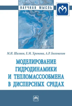 Моделирование гидродинамики и тепломассообмена в дисперсных средах, Михаил Шиляев