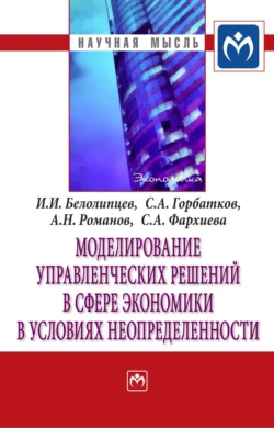 Моделирование управленческих решений в сфере экономики в условиях неопределенности, Илья Белолипцев