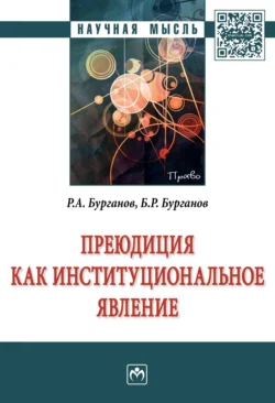 Преюдиция как институциональное явление, Раис Бурганов