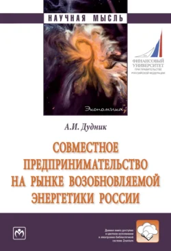 Совместное предпринимательство на рынке возобновляемой энергетики России, Анна Дудник