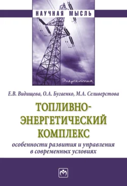 Топливно-энергетический комплекс:особенности развития и управления в современных условиях, Евгения Видищева