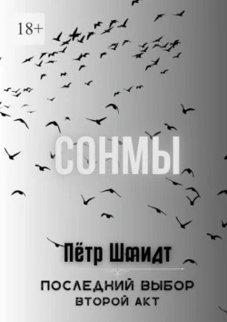 Сонмы. Последний выбор – Второй акт, Пётр Шмидт