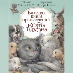 Большая книга приключений кота Тихона, Маша Трауб