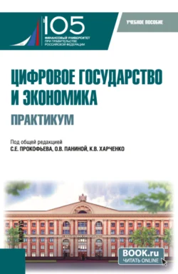 Цифровое государство и экономика. Практикум. (Бакалавриат  Магистратура). Учебное пособие. Ольга Панина и Наталья Завалько